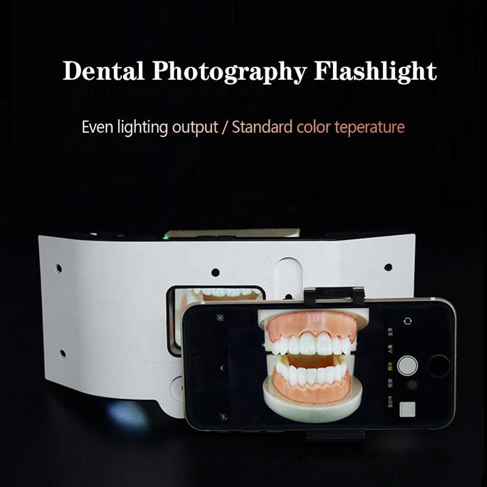 Attrezzatura Fotografica a Luc - Photography Lighting Lamp recensione e prezzo