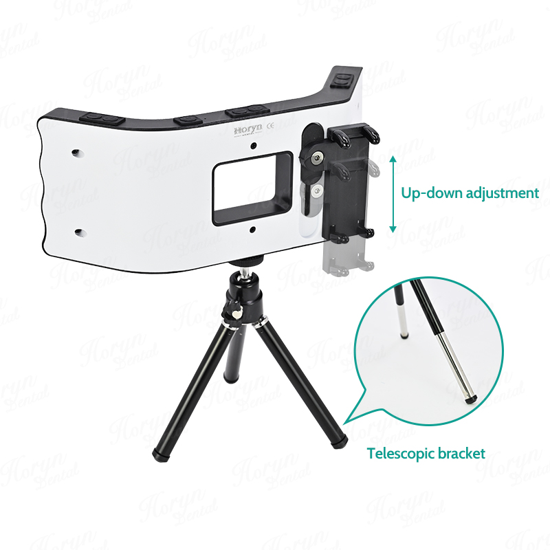 Kit fotografico dentale torcia - Photography Lighting Kits recensione e prezzo