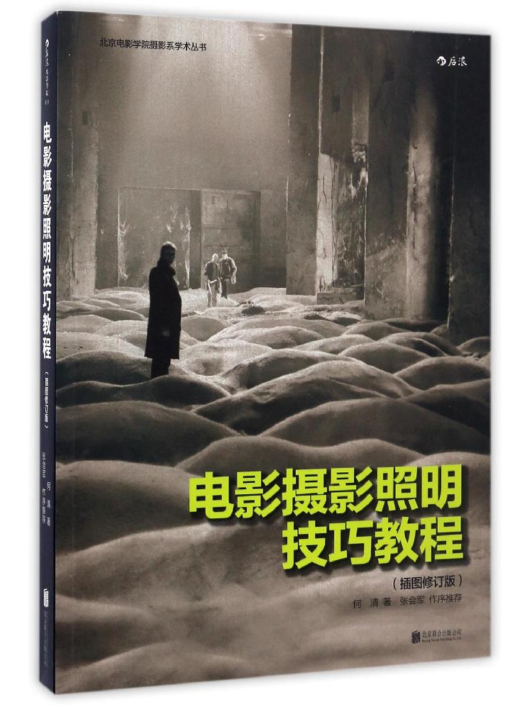 Book-Winshare Tutorial sulle t - Photography Lighting Techniques recensione e prezzo